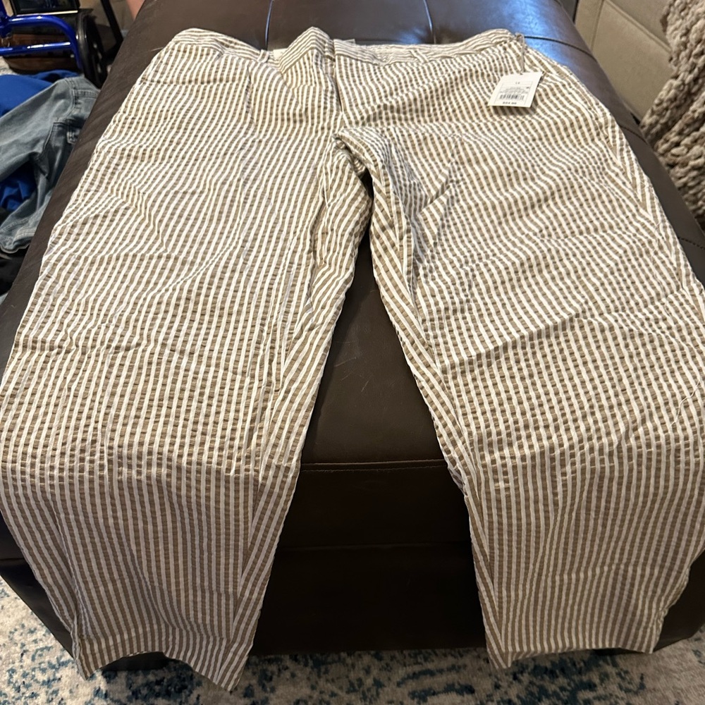 NWT stripped dress pants